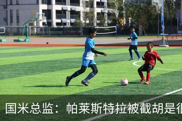 国米总监：帕莱斯特拉被截胡是很正常的事 我们与英超有经济差距